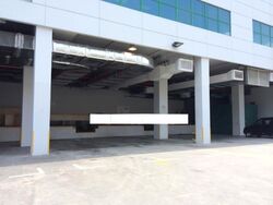 Techview (D14), Factory #522796281